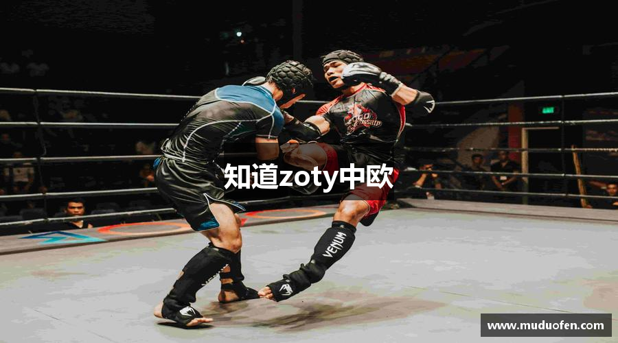 知道zoty中欧